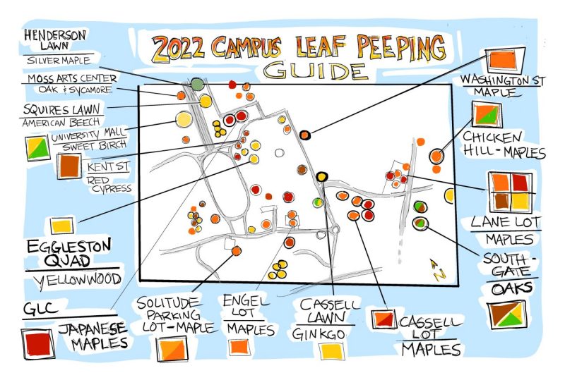 digital sketch of a campus map with trees and locations marked