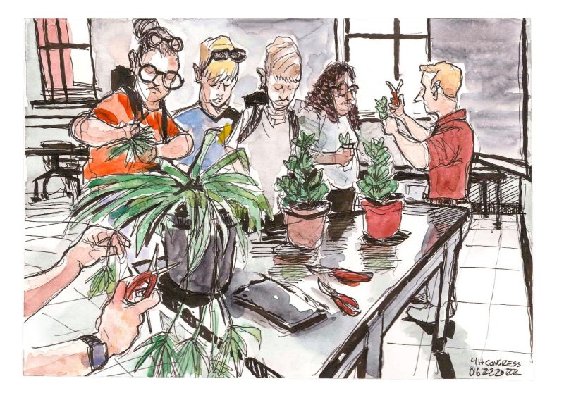 Ink and watercolor sketch of 4h students on campus for 4H Congress, taking plant cuttings for plant propagation