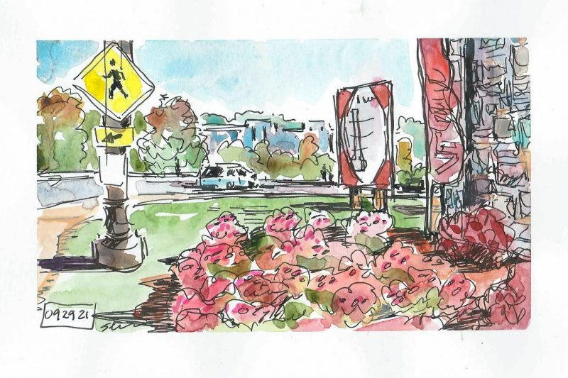 Ink and watercolor sketch of the Commonwealth of Virginia Campaign thermometer sign placed near the West Campus entrance of Virginia Tech. Begonias and other flowers are in the foreground. In the distance, the New Classroom Building sits behind a row of trees with leaves that are starting to turn colors with fall. 
