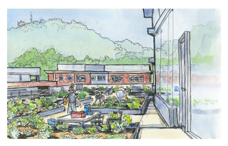 ink and watercolor sketch of Lemon Family Garden Roof at the Fralin Biomedical Research Institute, Roanoke Campus