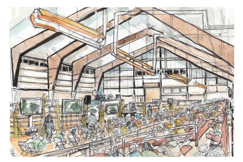 Ink and watercolor sketch of the Alphin Stuart Livestock Arena full of people bidding on livestock at the Hokie Harvest Auction