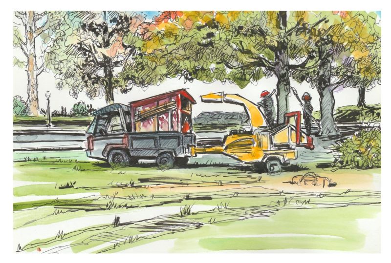ink and watercolor sketch of grounds employees purning low branches on trees on the Drillfield