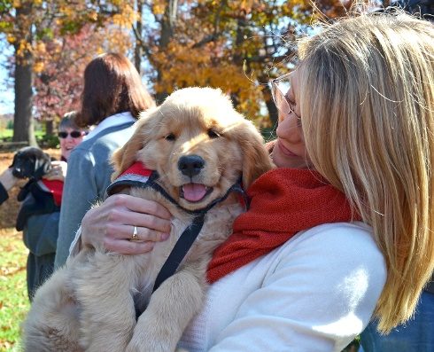 Tucker, a 10-week-old male golden retriever, is held by Virginia Corrigan, a community practice resident and member of his puppy raiser team.