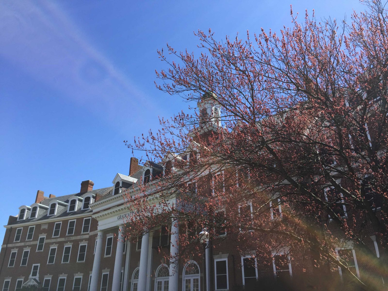 Virginia Tech Graduate School Honors Top Scholars Of The 2015-16 ...