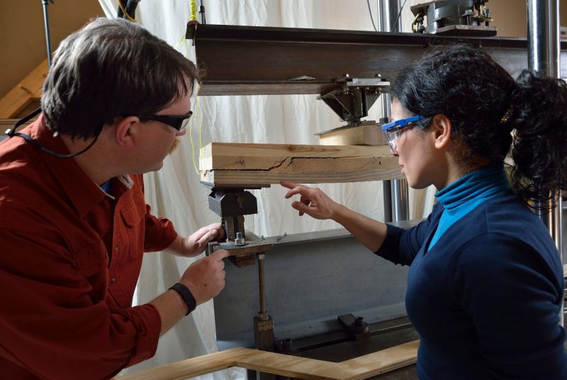Researchers working on wood