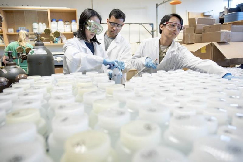 Researchers working in a lab.