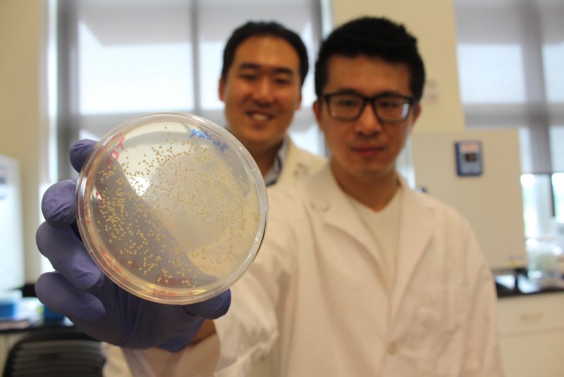 Two men in lab coat holds up petri dish of yeast cells.