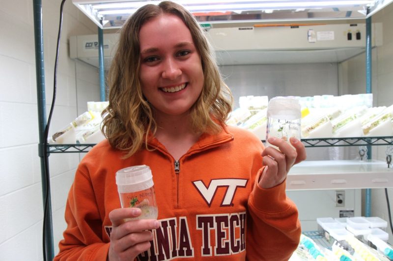 Chelsea Cereghino holds two plant specimens.