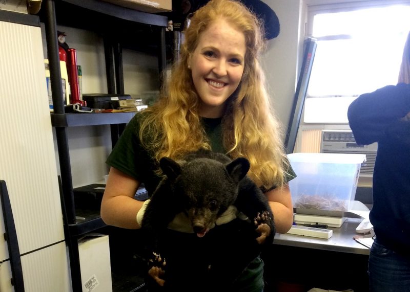 Lindsay Wentzel with black bear