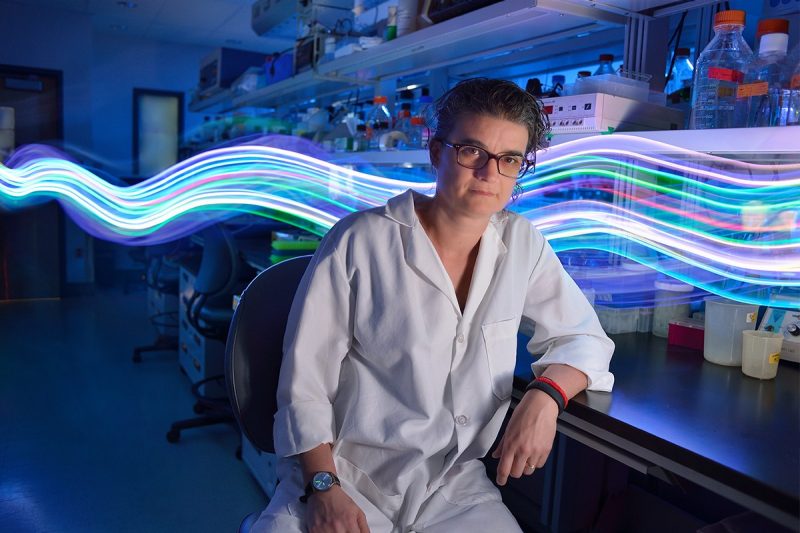 Researcher Carla Finkielstein displays her lab at the Biocomplexity Institute of Virginia Tech