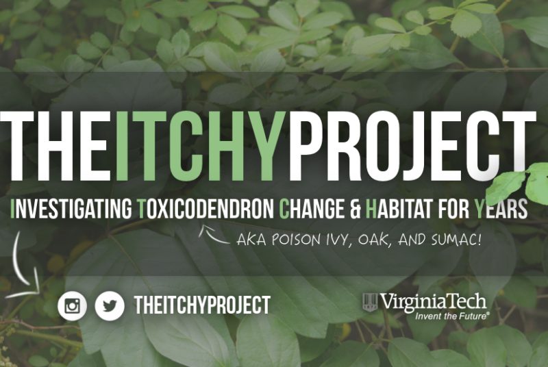 Join the ITCHY Project today.