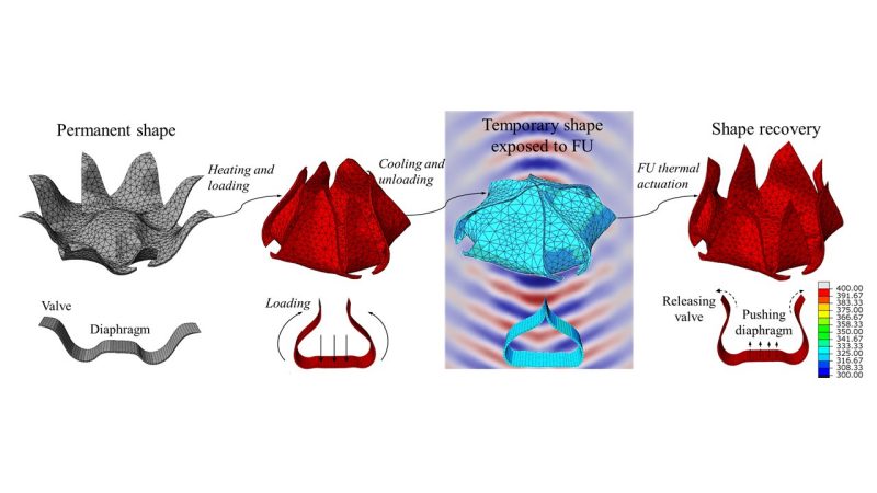 Shape-memory polymers can be transformed from a permanent shape to a deformed, temporary shape when heated. This temporary shape packages drug particles for delivery inside the human body. When the package reaches a desired location, focused ultrasound waves cause the package to return to its permanent shape, a process that releases the loaded drug particles into the body. 