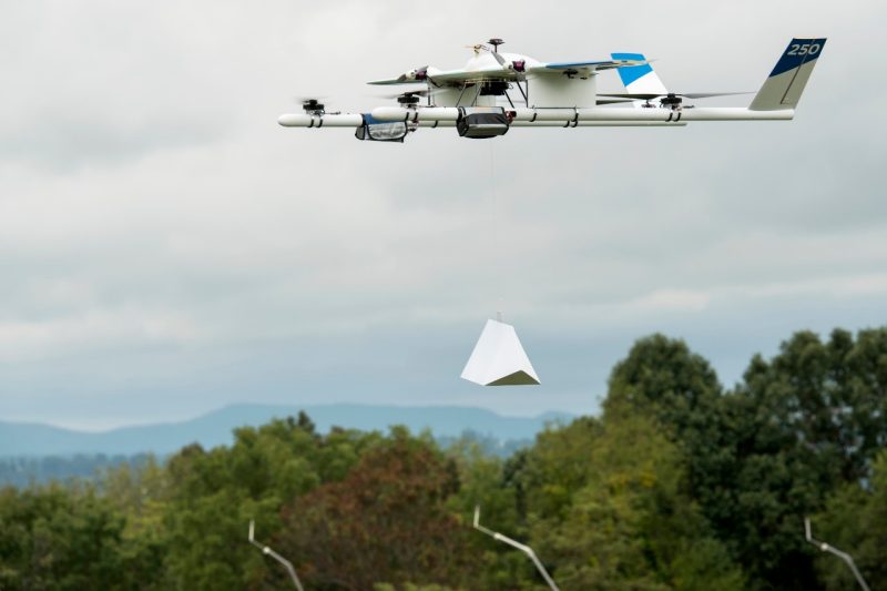 Project  Wing's drone with  burrito payload