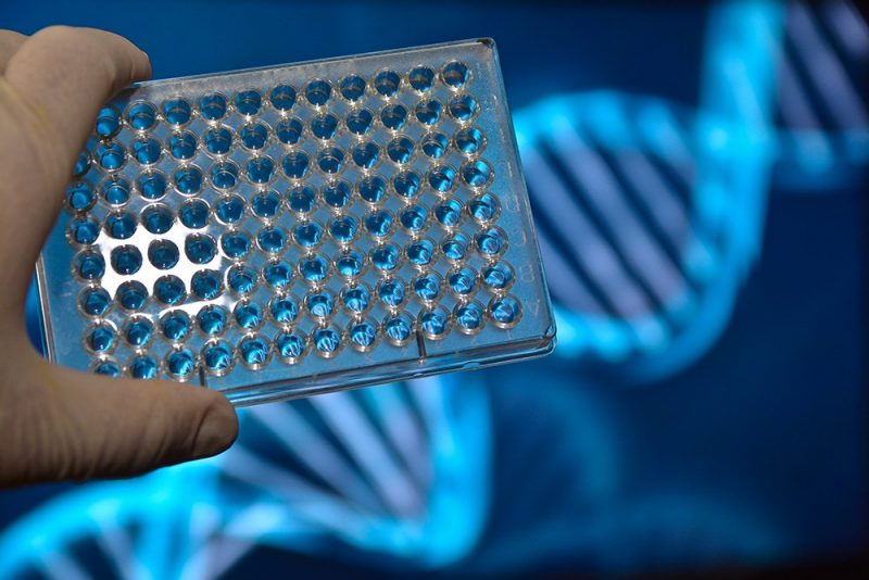 genetic testing tool and DNA double helix
