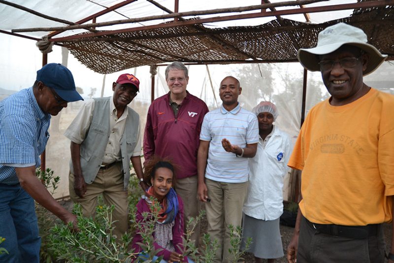 Five men and two women pose for a picture in a greenhouse in Ethiopia