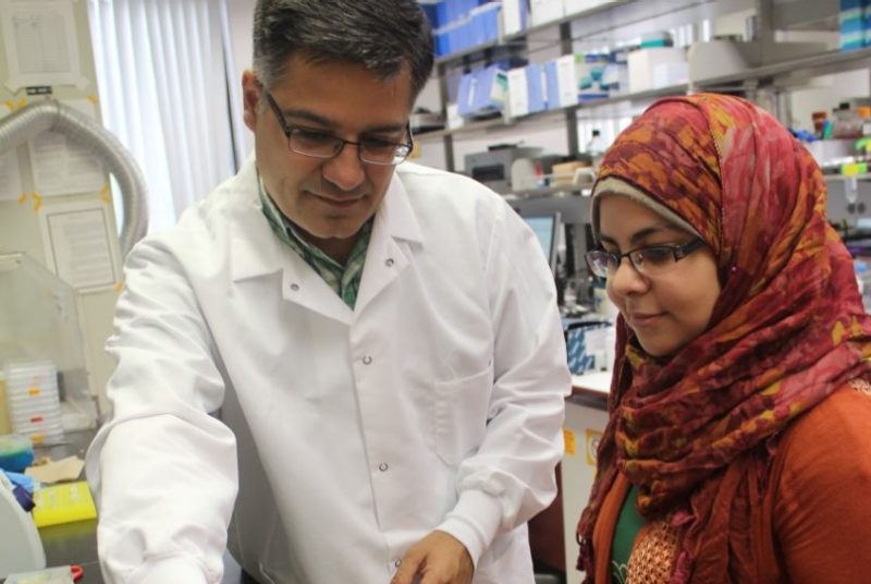 Researchers study antibiotic resistance