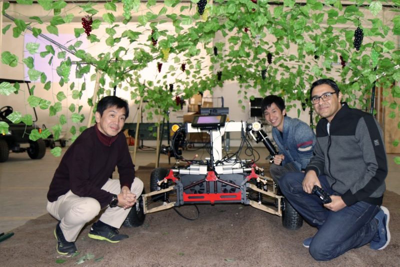 Professor and students with robot in artificial vineyard