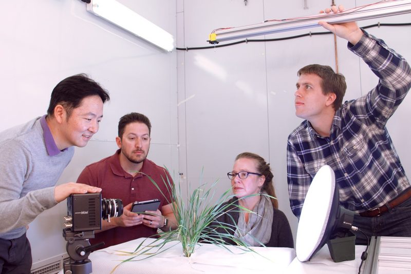 Sunghwan (Sunny) Jung, David Schmale,  Hope Gruszewski, and Jonathan Boreyko are working to provide new strategies for minimizing disease spread in wheat.