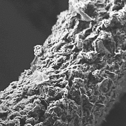Zoomed SEM image of graphene octet-truss showing porous struts at 1 micrometer