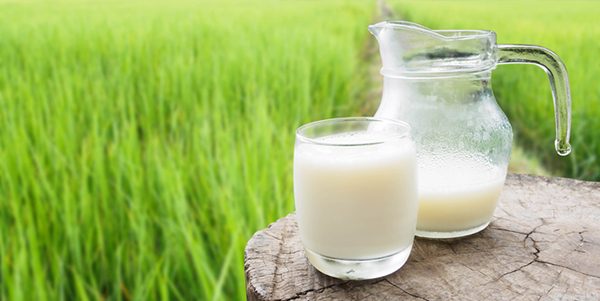 When taken as a supplement, lactoferrin, a protein found in milk, treats the taste and smell disorders that plague cancer patients. 