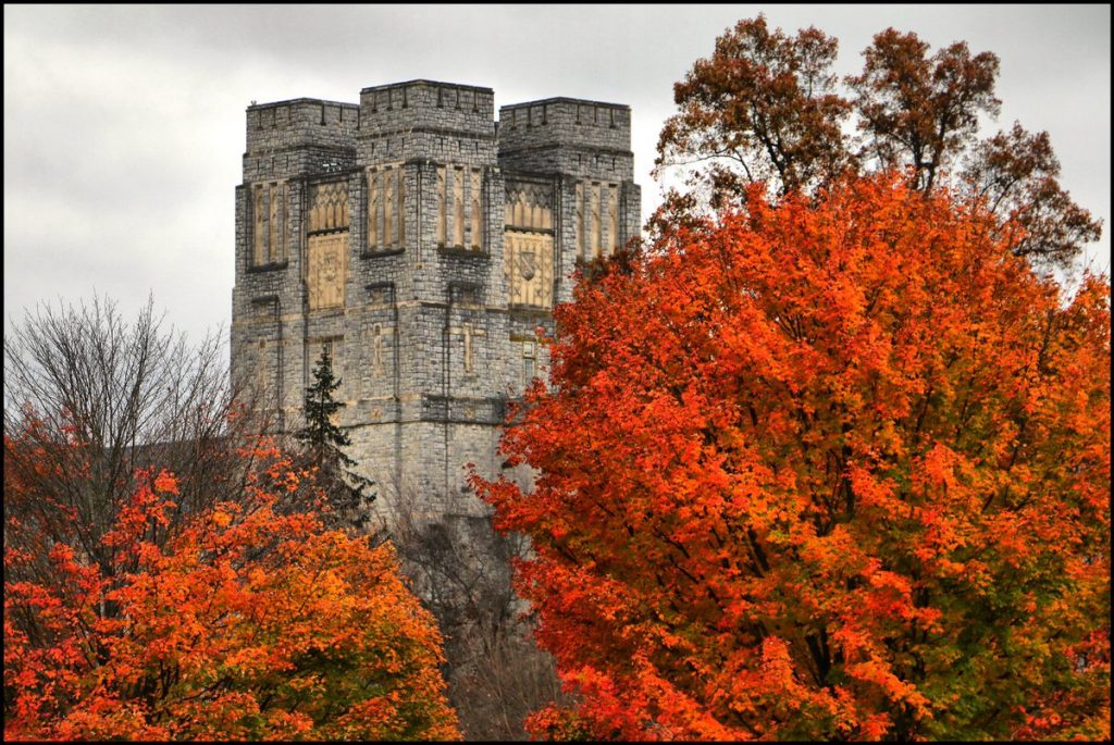 Fall color forecast looks promising, according to Virginia Tech’s John