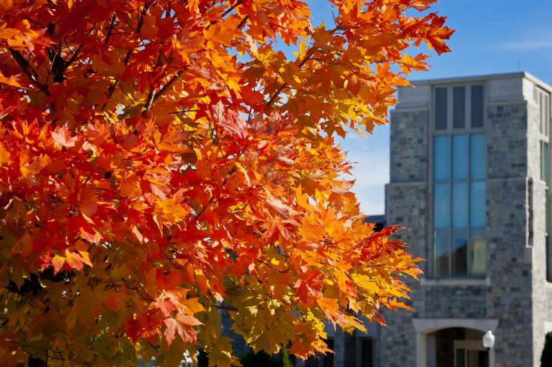 image of fall color on the Virginia Tech Drillfield