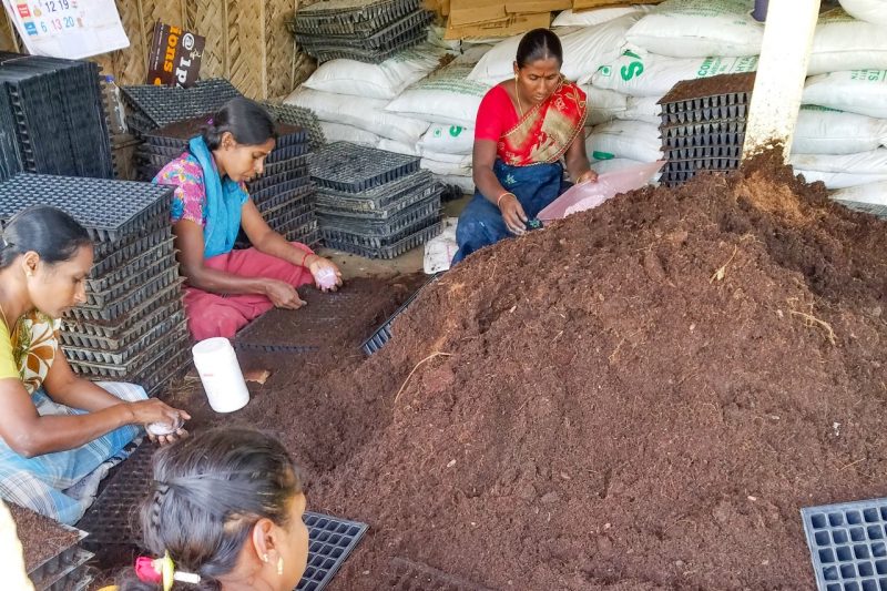 women place seeds in seedling trays