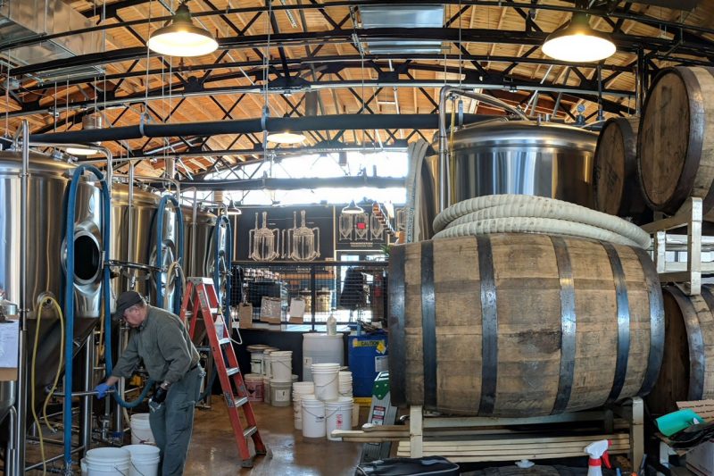 A man works in a brewery next to giant wooden kegs.