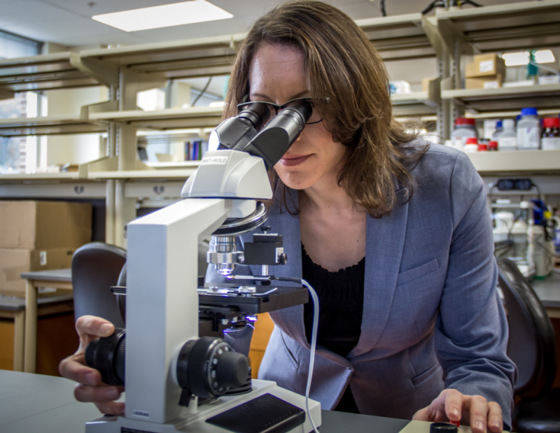 Sharon Swanger looks into a microscope in the Center for Neurobiology Research at Virginia Tech's Fralin Biomedical Research Institute