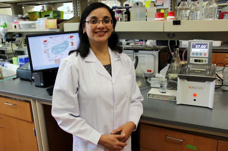 Biomedical researcher Researchers