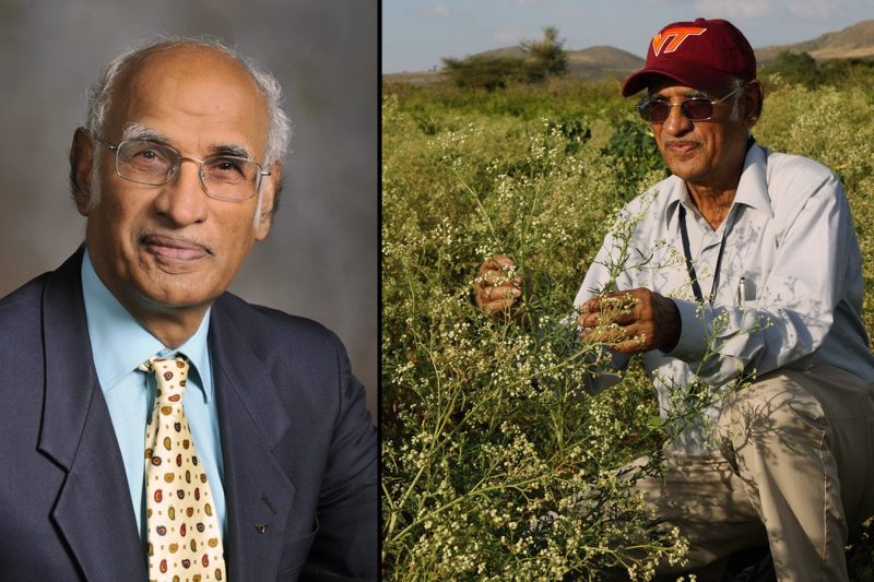 Headshot of researcher on left and in a field of weeds on right