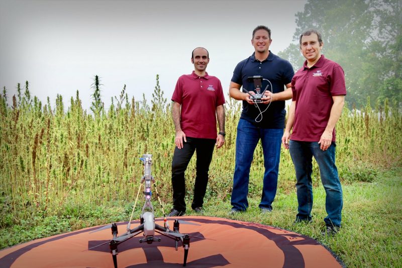Drs. Foroutan, Schmale, and Ross demonstrate the use of a drone in front of hemp fields