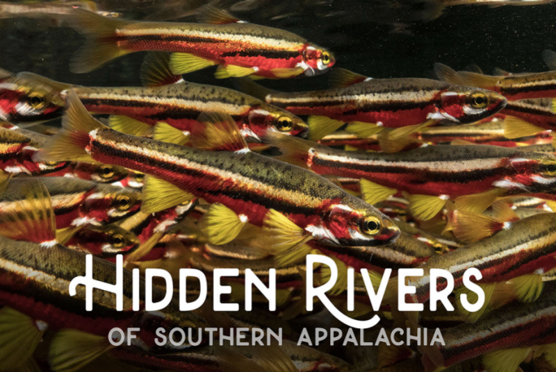 Poster for "Hidden Rivers" movie