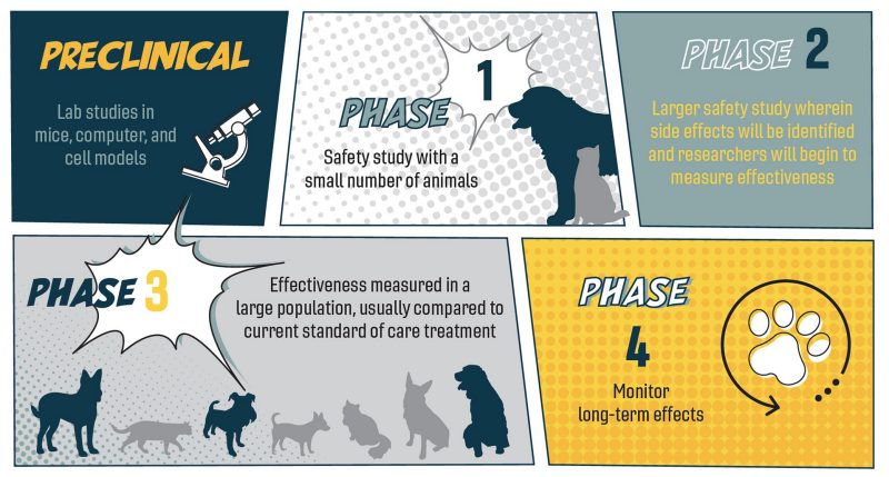 Veterinary medicine clinical trials infographic