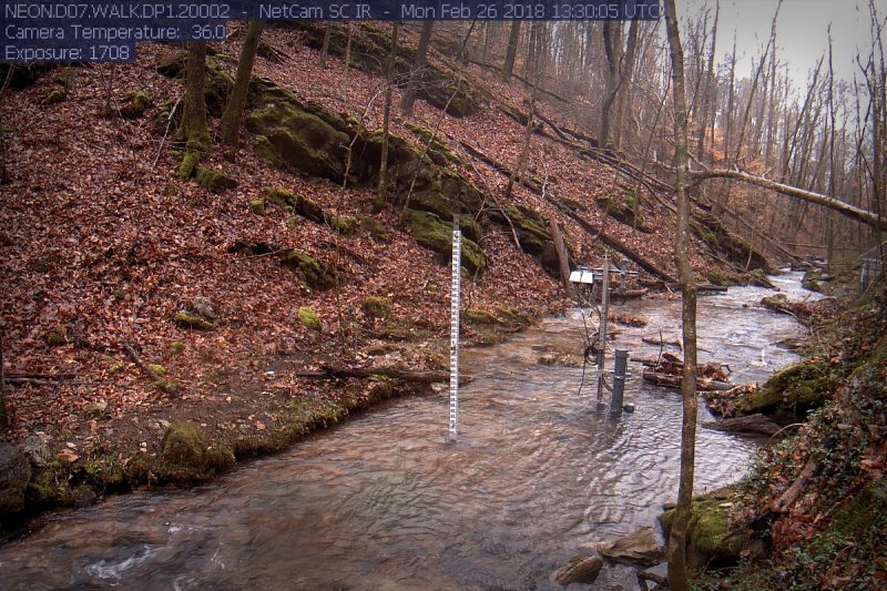 A NEON study site in the Walker Branch Watershed in Tennessee. Two scientific instruments are placed in the center of a stream that is bordered by two heavily wooded hills at autumn. Courtesy of the PhenoCam Network.