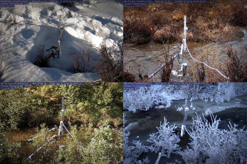 Four images from the same NEON study site in Alaska’s Caribou Creek depict the various seasons of the Spring, Summer, Fall, and Winter. An instrument is located in the center of the stream. Courtesy of the PhenoCam Network.