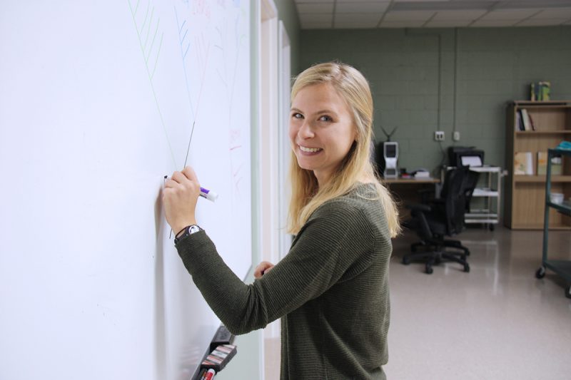 Virginia Tech graduate student Alaina Weinheimer draws a phylogenetic tree on a whiteboard. 