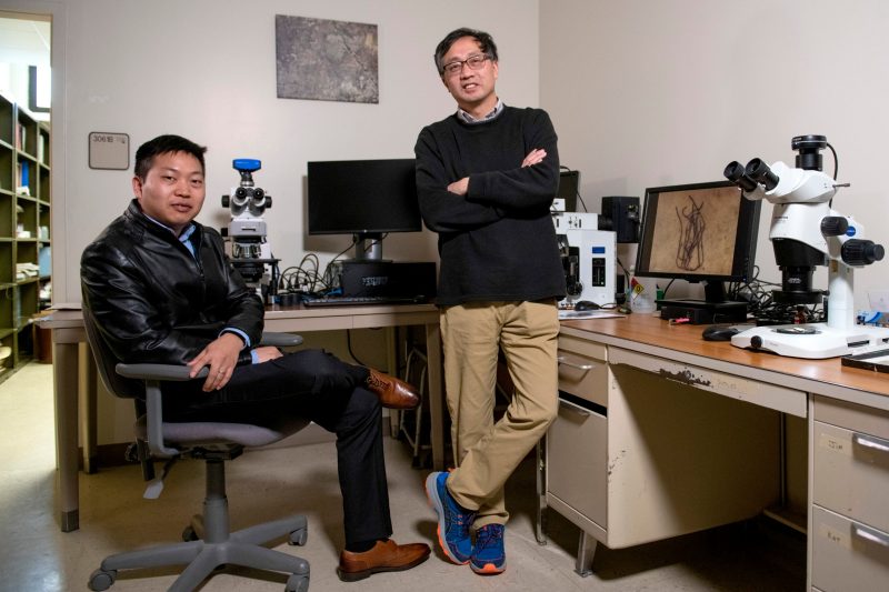 Geobiology professor Shuhai Xiao, right, poses for a portrait with his postdoctorate Qing Tang in Derring Hall.