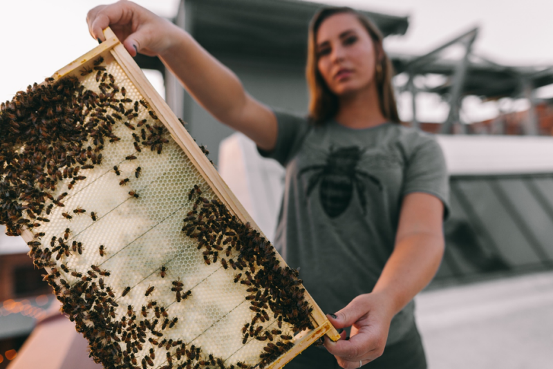 Bonner holds a beehive pallet, which is covered swarming with bees. She is wearing a grey tee-shirt with a bee on it, as she holds the pallet with her arms stretched far out. Courtesy: Bee Downtown.