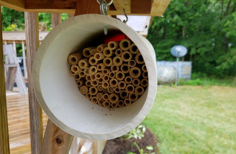 bee house mounted on deck