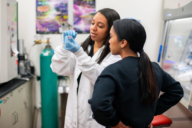 Michelle Dickerson, second-year biomedical engineering and mechanics doctoral student, mentors undergraduate in the Traumatic Nerve Technologies Lab.