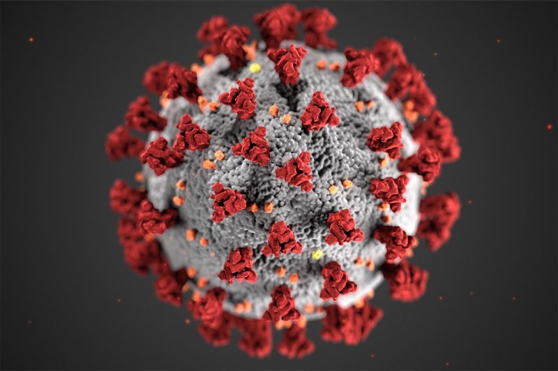 Coronavirus illustration Rendering of coronaviruses