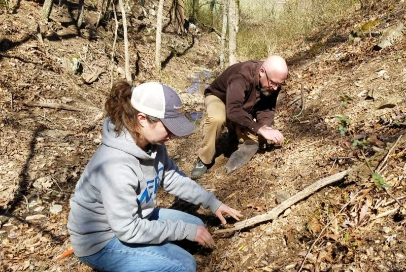 A woman and a man crouch/kneel on a small hill covered with leaf litter and plant small rootlets.