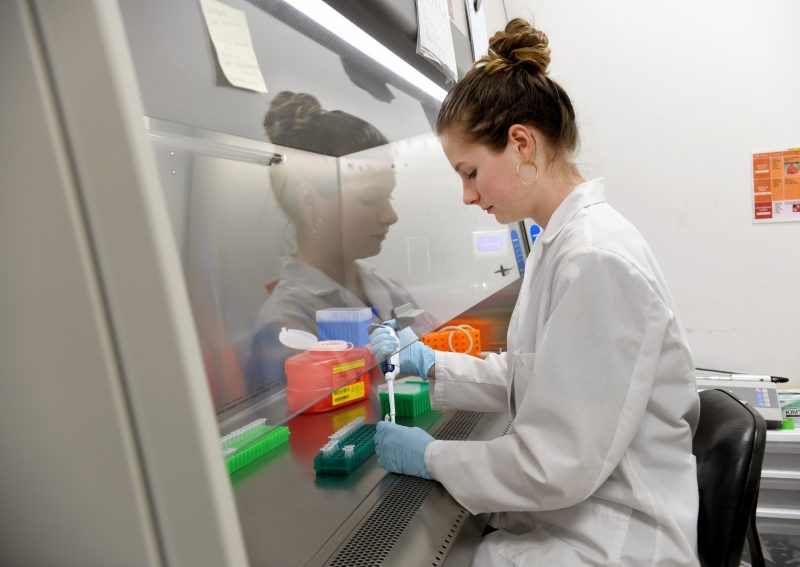 Amber Abbott works in a virology laboratory at the Integrated Life Sciences Building, one of the Fralin Life Sciences Institute’s research buildings located in the Virginia Tech Corporate Research Center. She is handling syringes and liquids that are part of her daily work. 