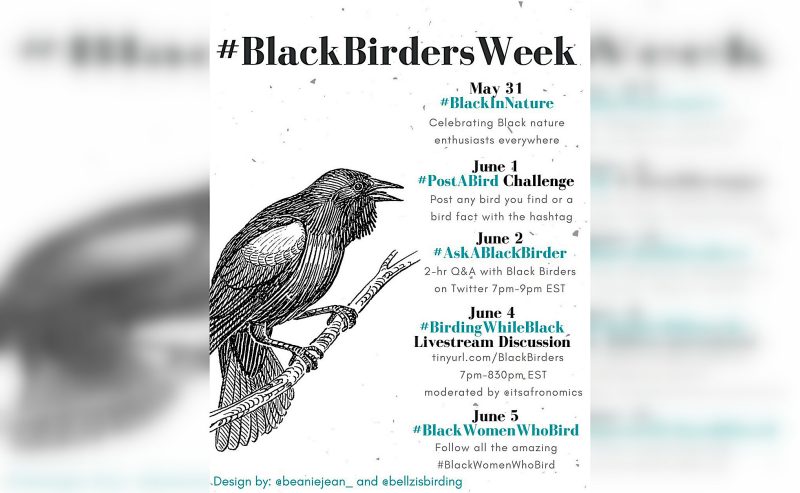 The official schedule for #BlackBirdersWeek, an event that took place from May 31 to June 6.