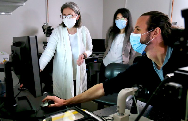 Daniela Cimini (left), Jing Chen (middle), and Nicolaas Baudoin (right) view images from a wide-field fluorescence microscope. Photo courtesy of Alex Crookshanks.