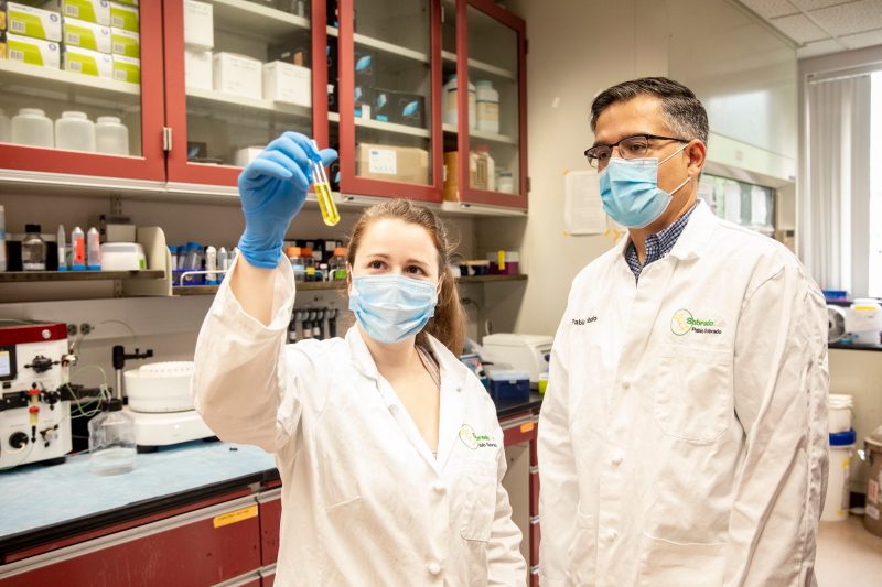 Hannah Valentino, left, and Pablo Sobrado, right, uncover a new step in the process that makes garlic potent.