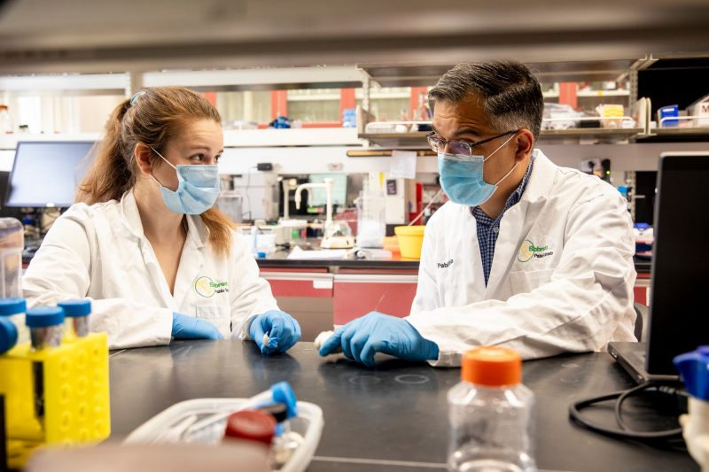 Hannah Valentino, left, and Pablo Sobrado, right, are conducting research that is laying the foundation for a future in which buyers can choose garlic based on its strength and flavor profile.