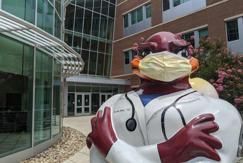 Medical school HokieBird with mask outside VTCSOM building