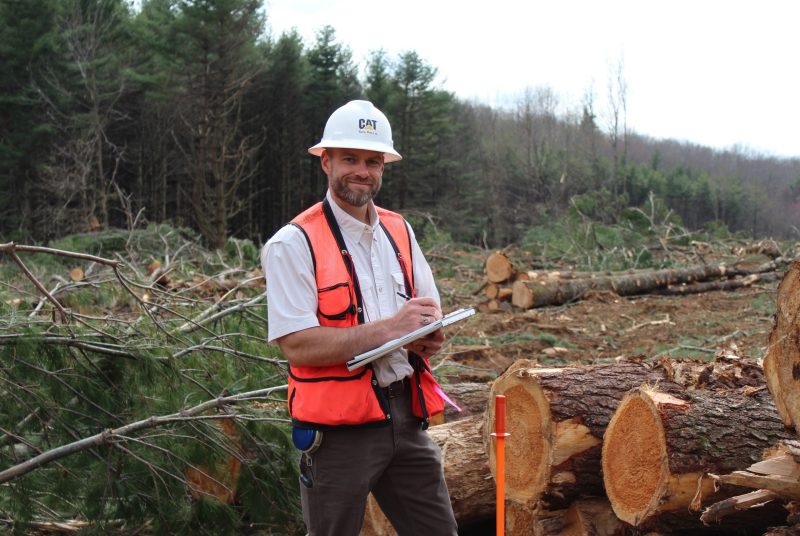 A man wearing a hard hat and a reflective vest and holding a clipboard stands in front of cut logs and branches in a forest clearing